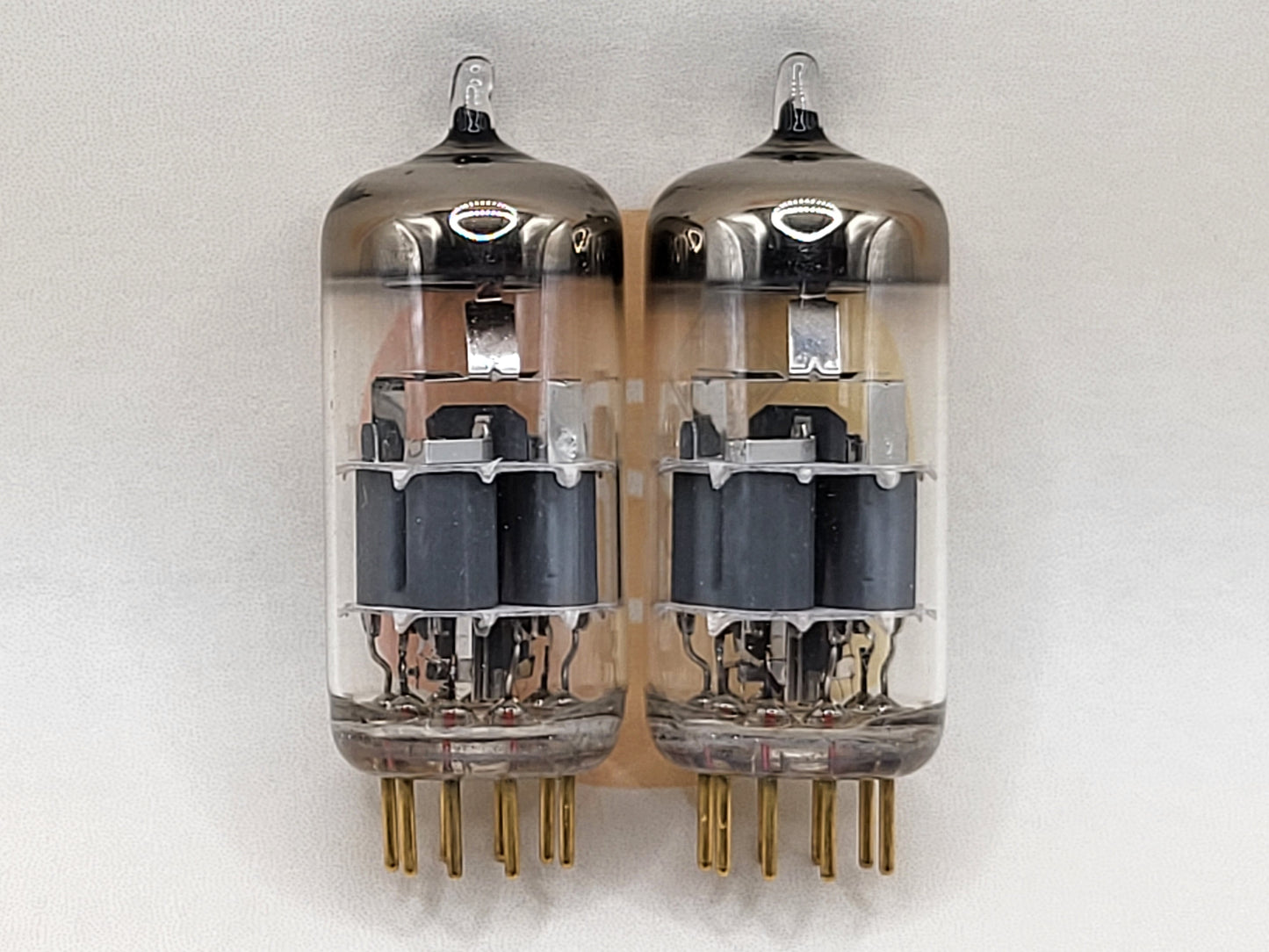 Telefunken E88CC 6922 ◇ Bottom