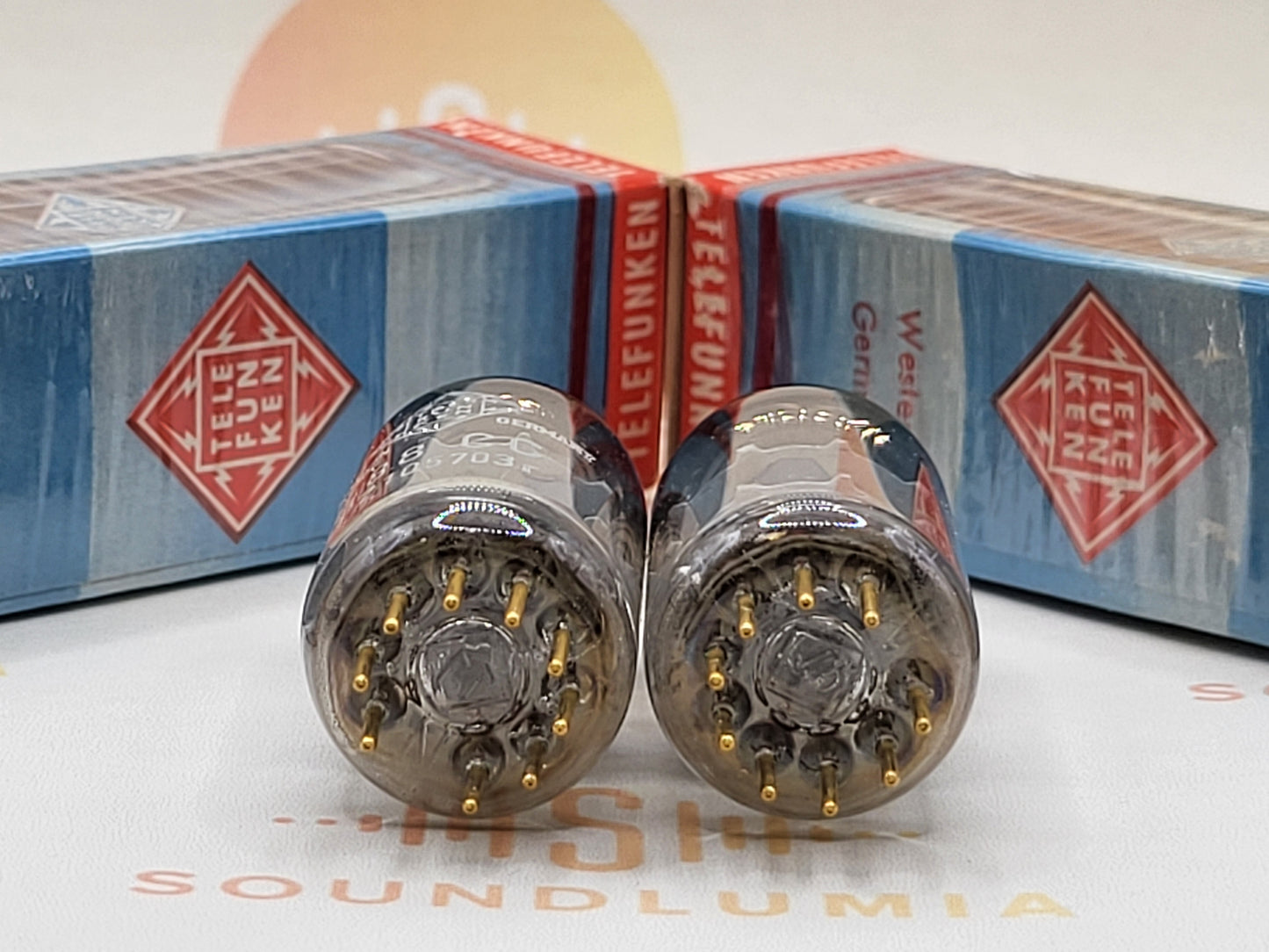 Telefunken E88CC 6922 ◇ Bottom