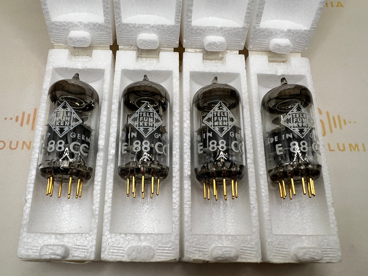 Telefunken E88CC 6922 ◇ Bottom