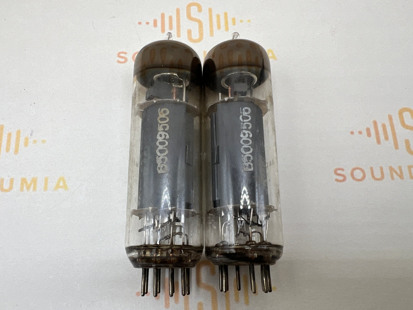 Telefunken EL84 6BQ5 ◇ Bottom Berlin
