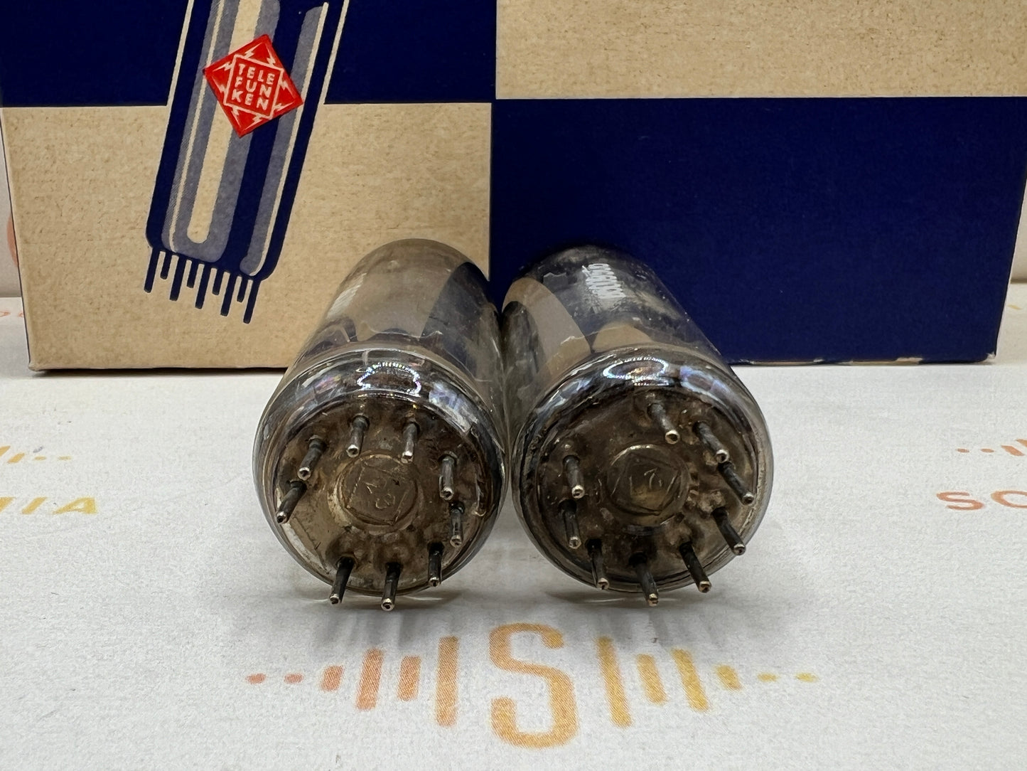 Telefunken EL84 6BQ5 ◇ Bottom Berlin