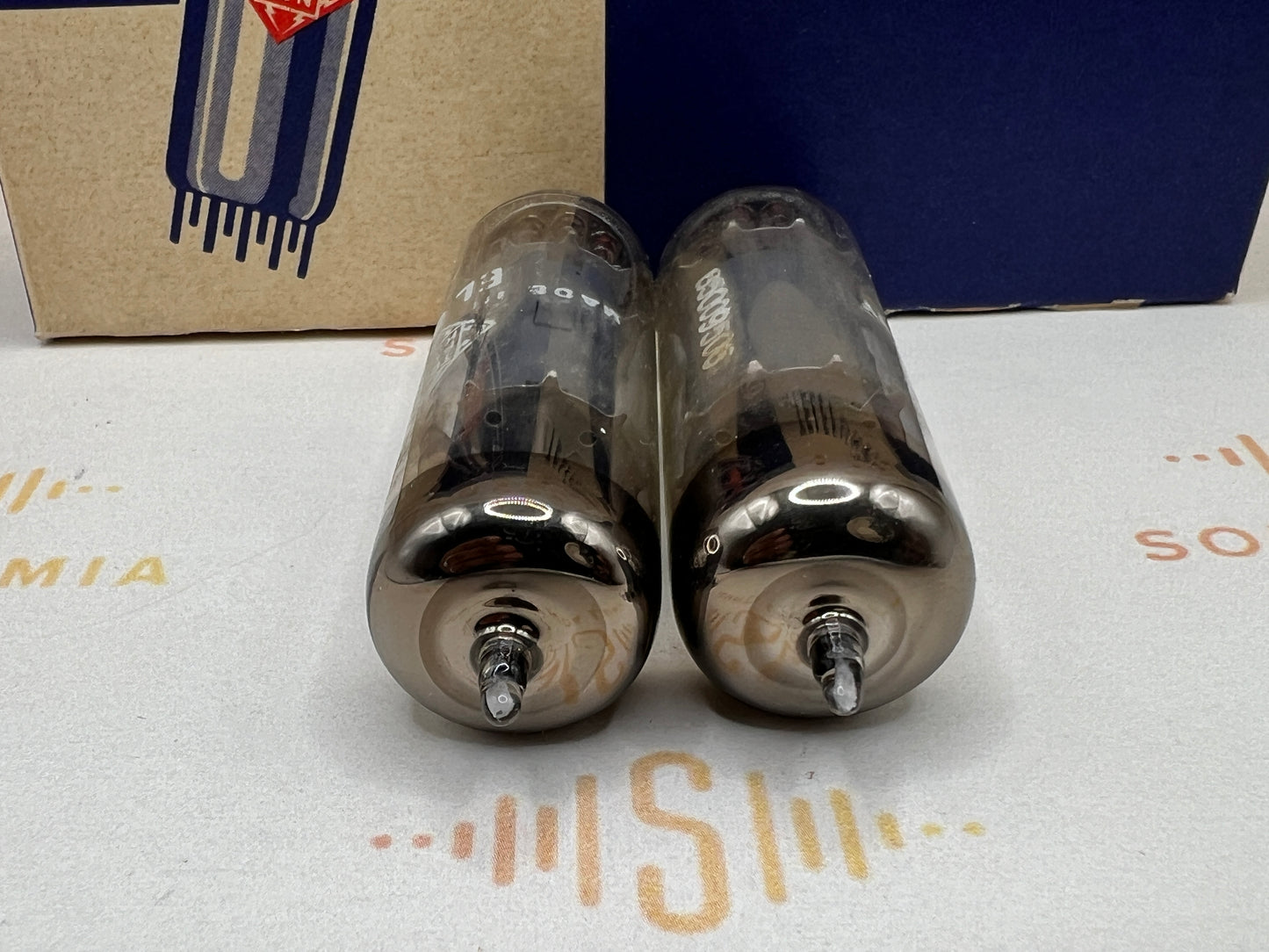 Telefunken EL84 6BQ5 ◇ Bottom Berlin