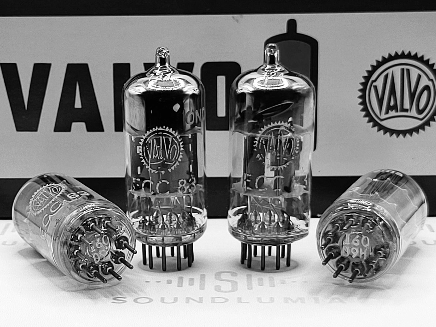 Valvo ECC83 12AX7 Short Plates Angled Getter