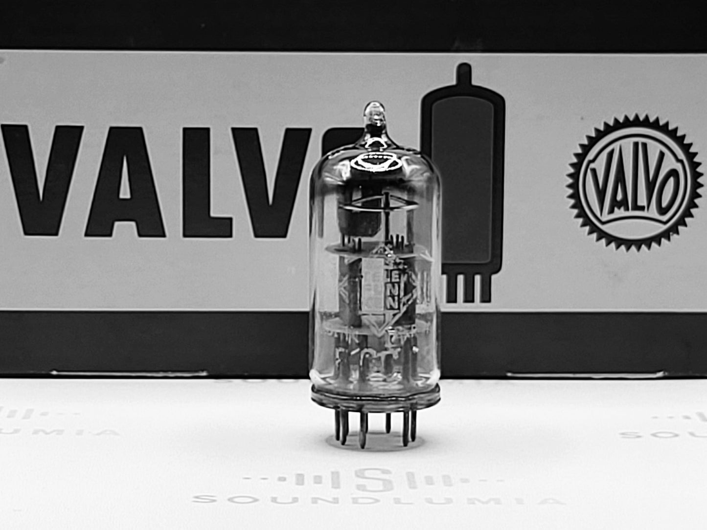 Valvo ECC81 D-Getter Coin Bottom YKB
