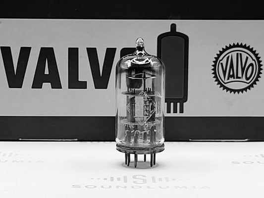 Valvo ECC81 D-Getter 硬币底 YKB