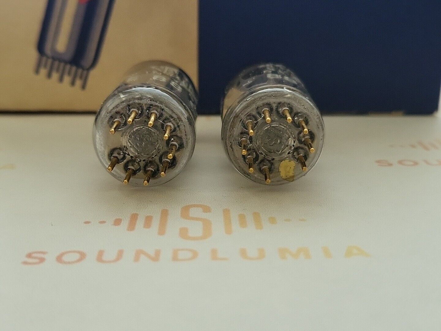 Telefunken E88CC 6922 ◇ Bottom
