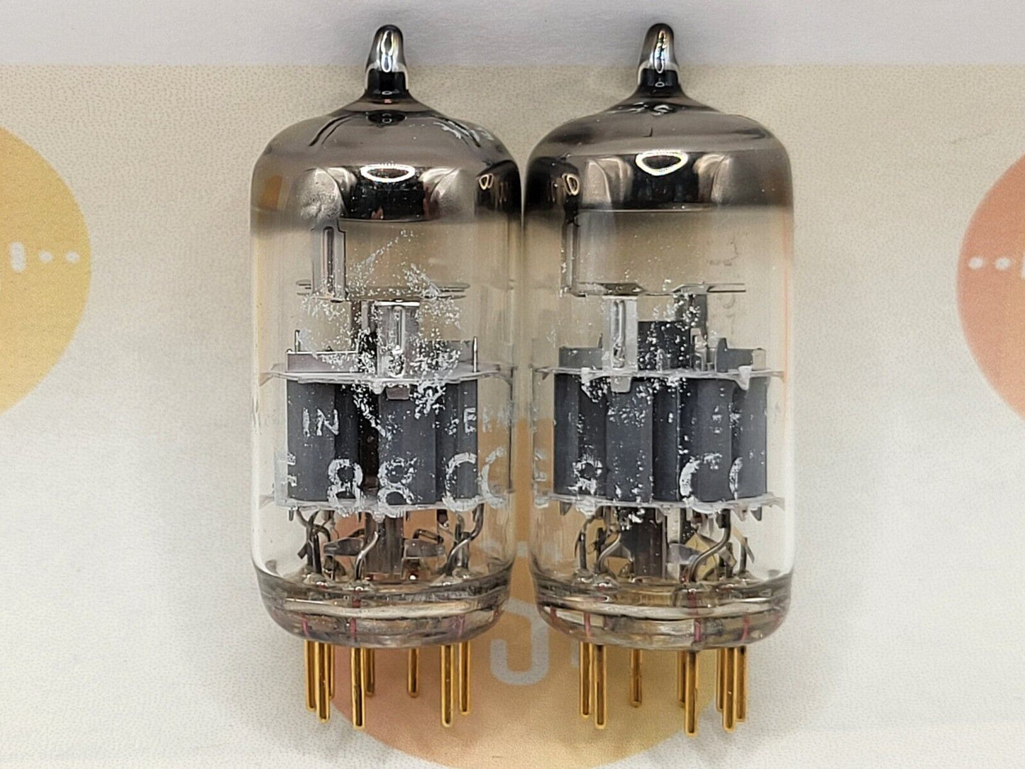 Telefunken E88CC 6922 ◇ Bottom
