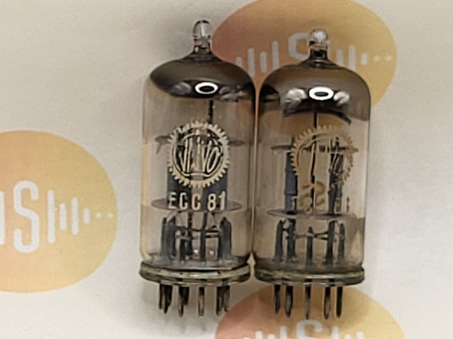 Valvo ECC81 D-Getter Coin Bottom YKB