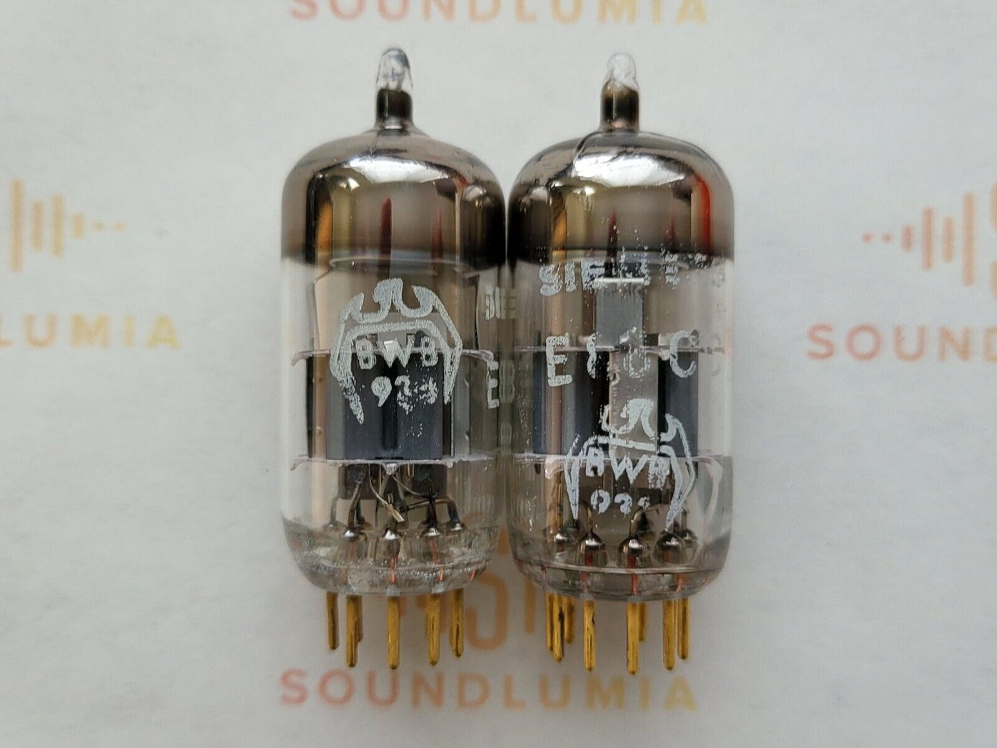 2x Siemens E88CC = 6922 Silver Shield BWB "Falcon" - Munich A6 4B/5B - Strong