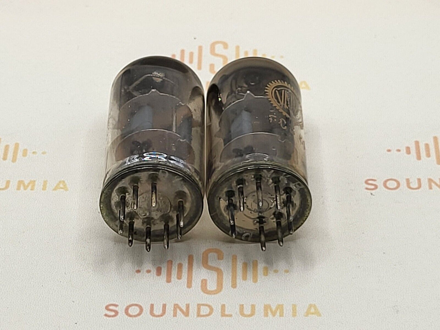 Valvo ECC81 D-Getter Coin Bottom YKB