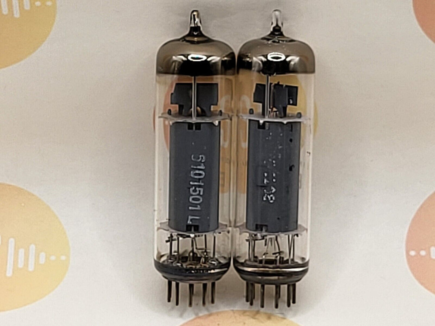 Telefunken EL84 6BQ5 Matched Pair - ◇ Bottom - Ulm 1961 - Near NOS