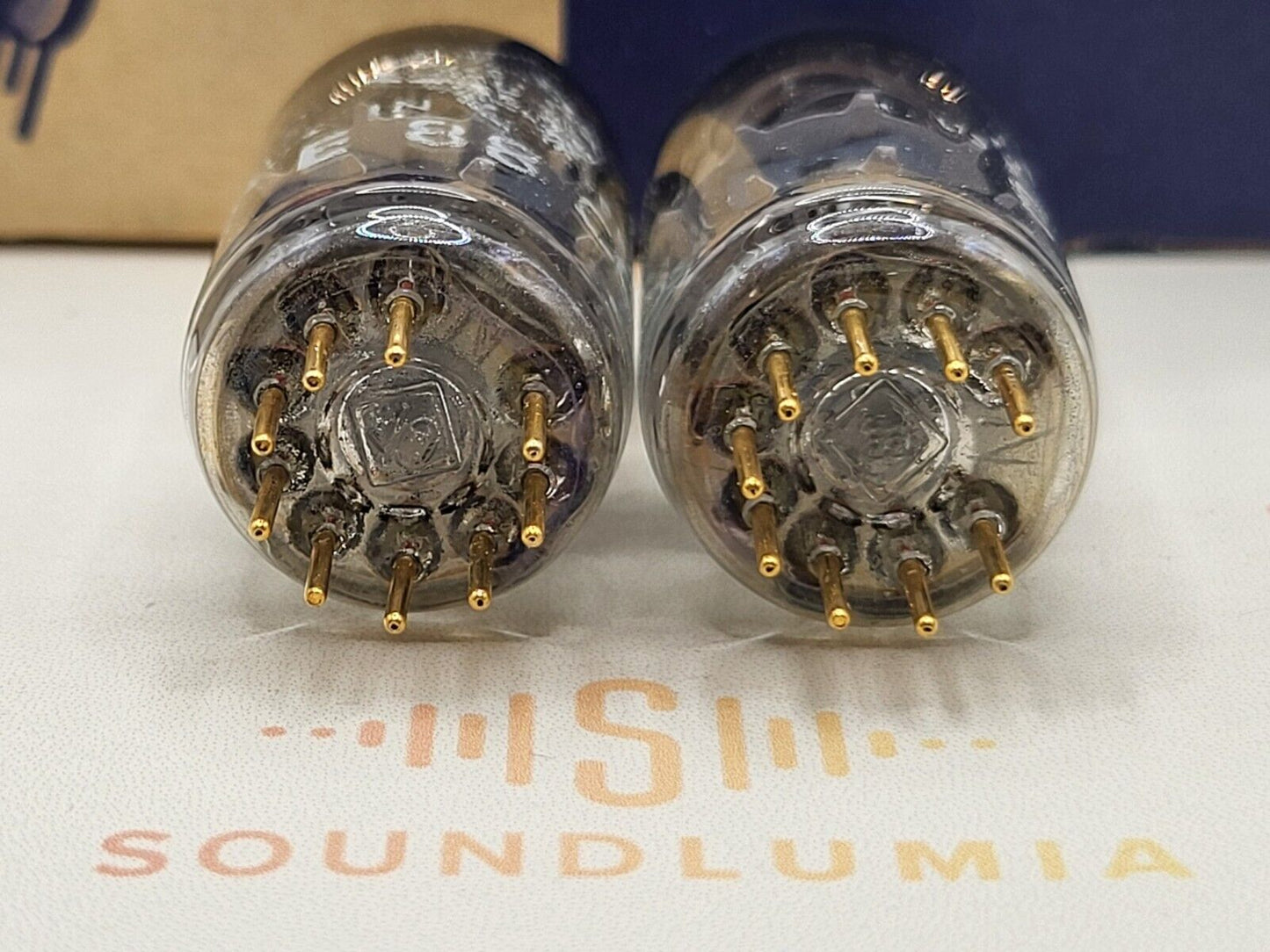 Telefunken E88CC 6922 ◇ Bottom