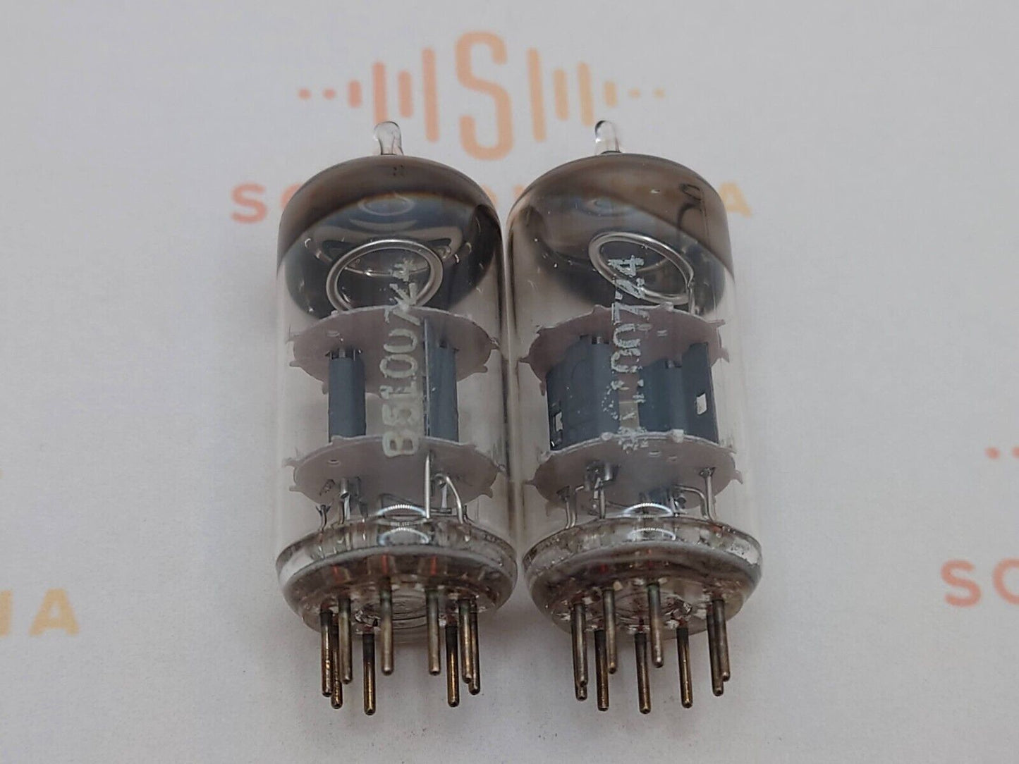 44309478