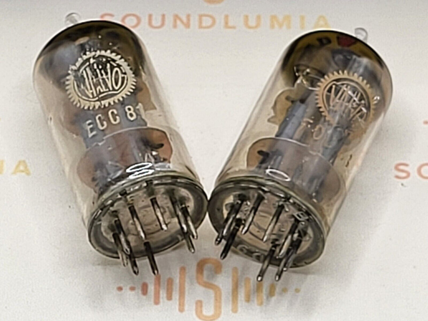 Valvo ECC81 D-Getter Coin Bottom YKB