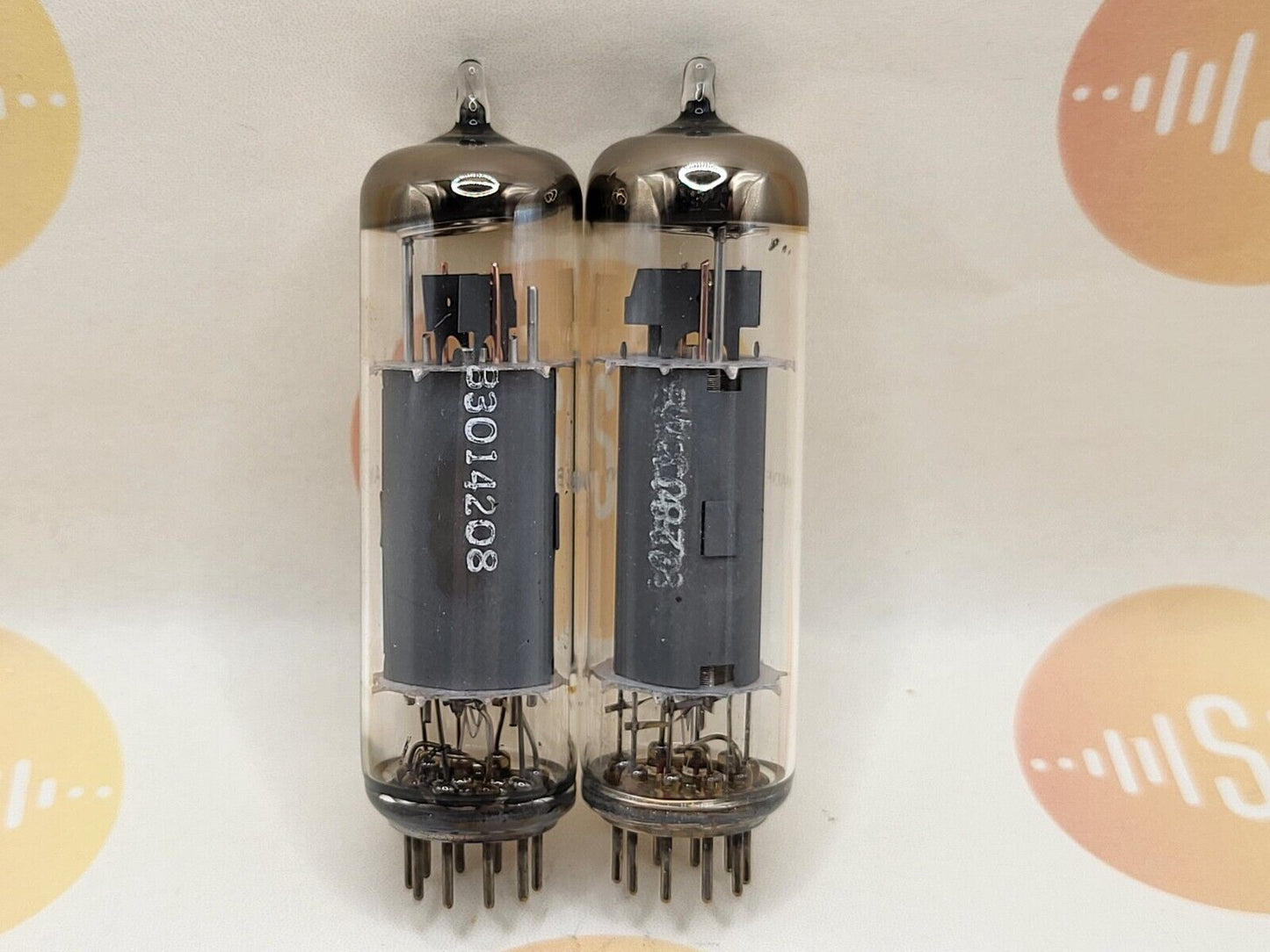 Telefunken EL84 6BQ5 ◇ Bottom Berlin