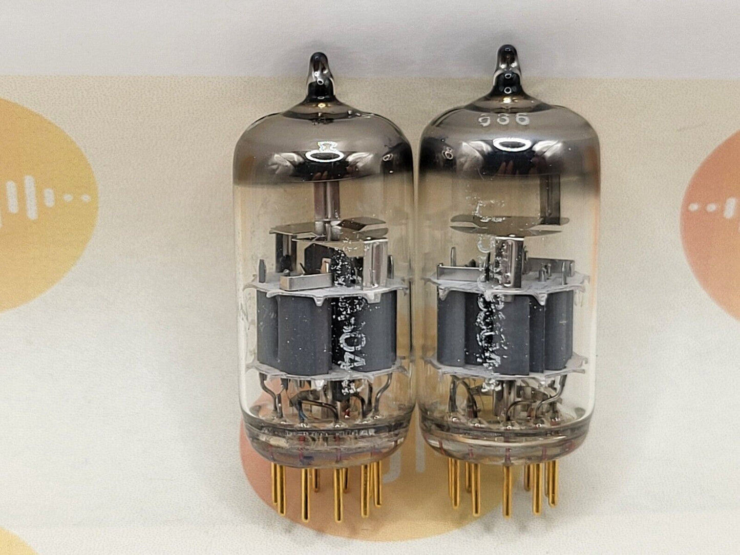 Telefunken E88CC 6922 ◇ Bottom