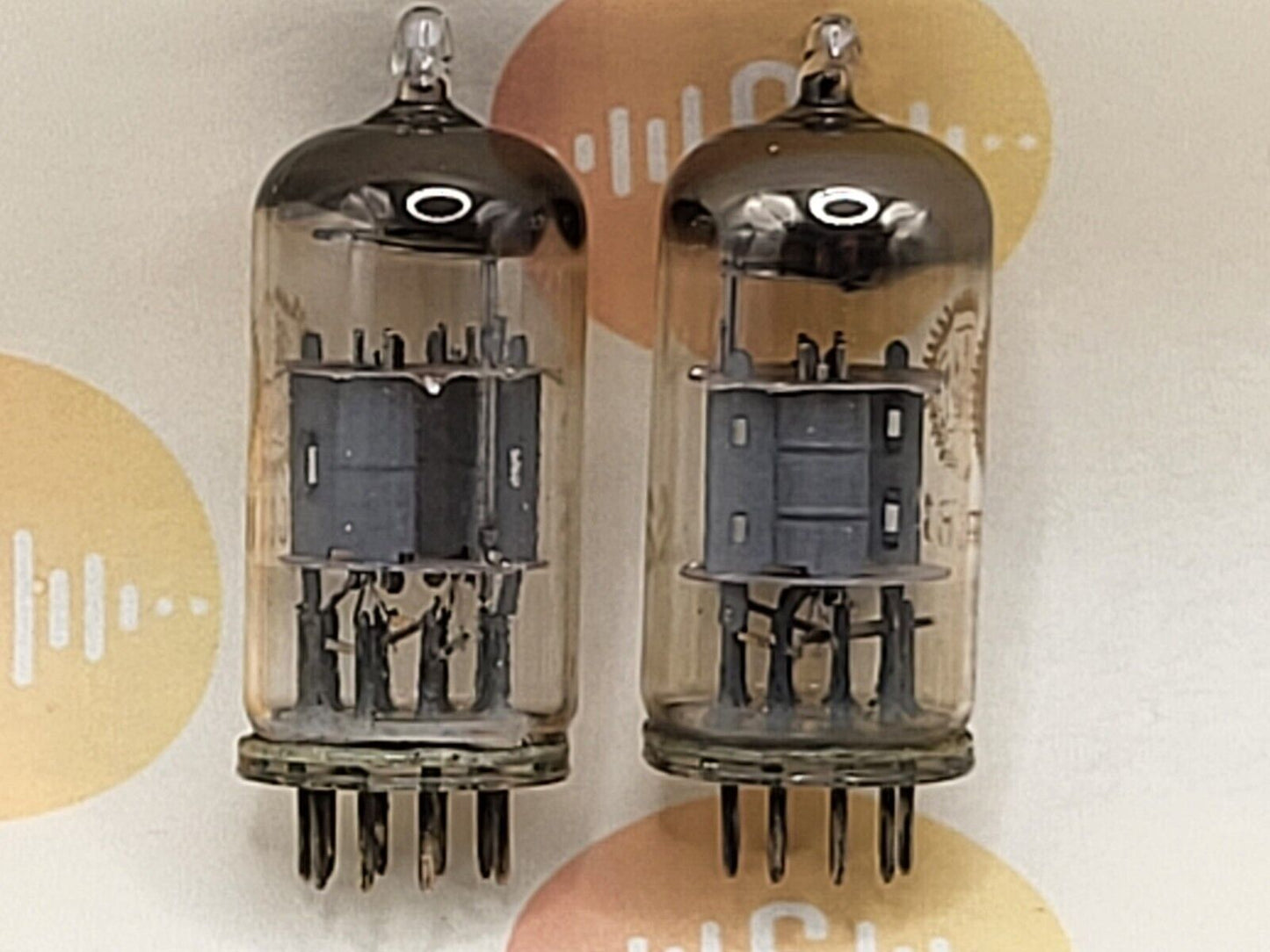 Valvo ECC81 D-Getter Coin Bottom YKB