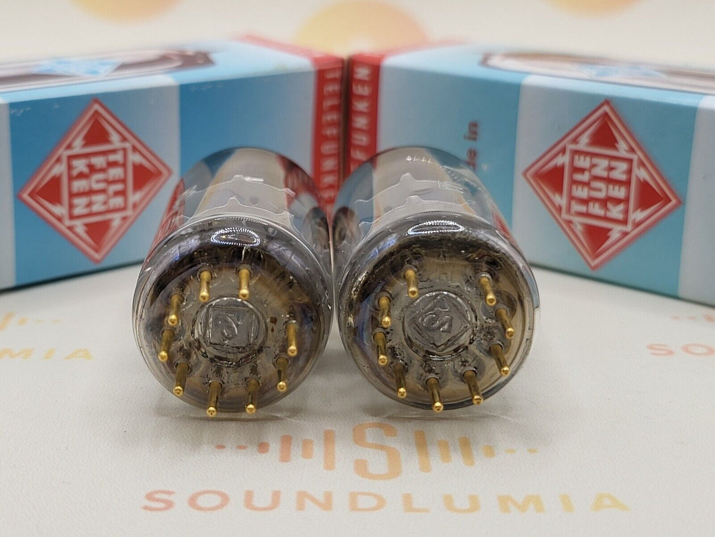 Telefunken E88CC 6922 ◇ Bottom