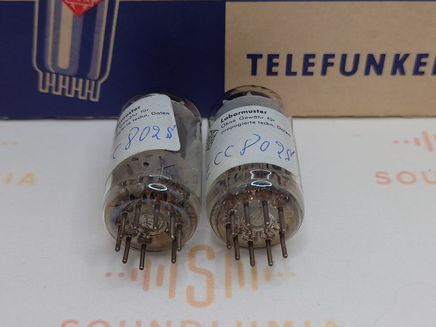 Telefunken ECC802S 6189 ◇ Unten
