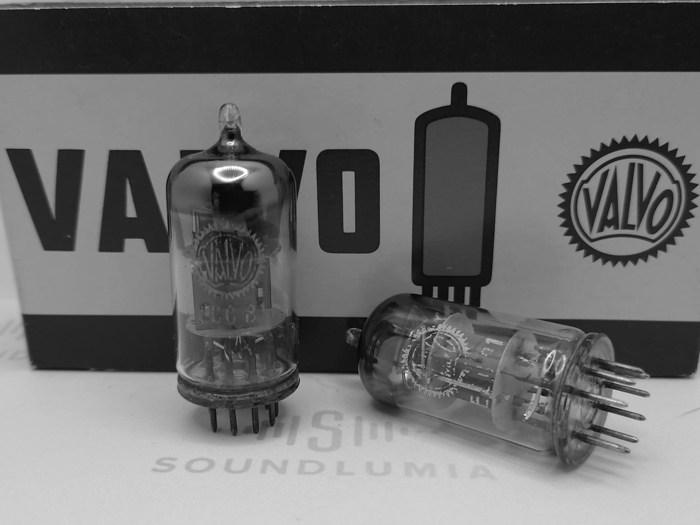 Valvo ECC81 D-Getter Coin Bottom YKB