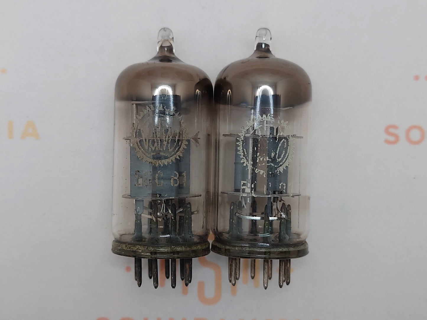 Valvo ECC81 D-Getter Coin Bottom YKB