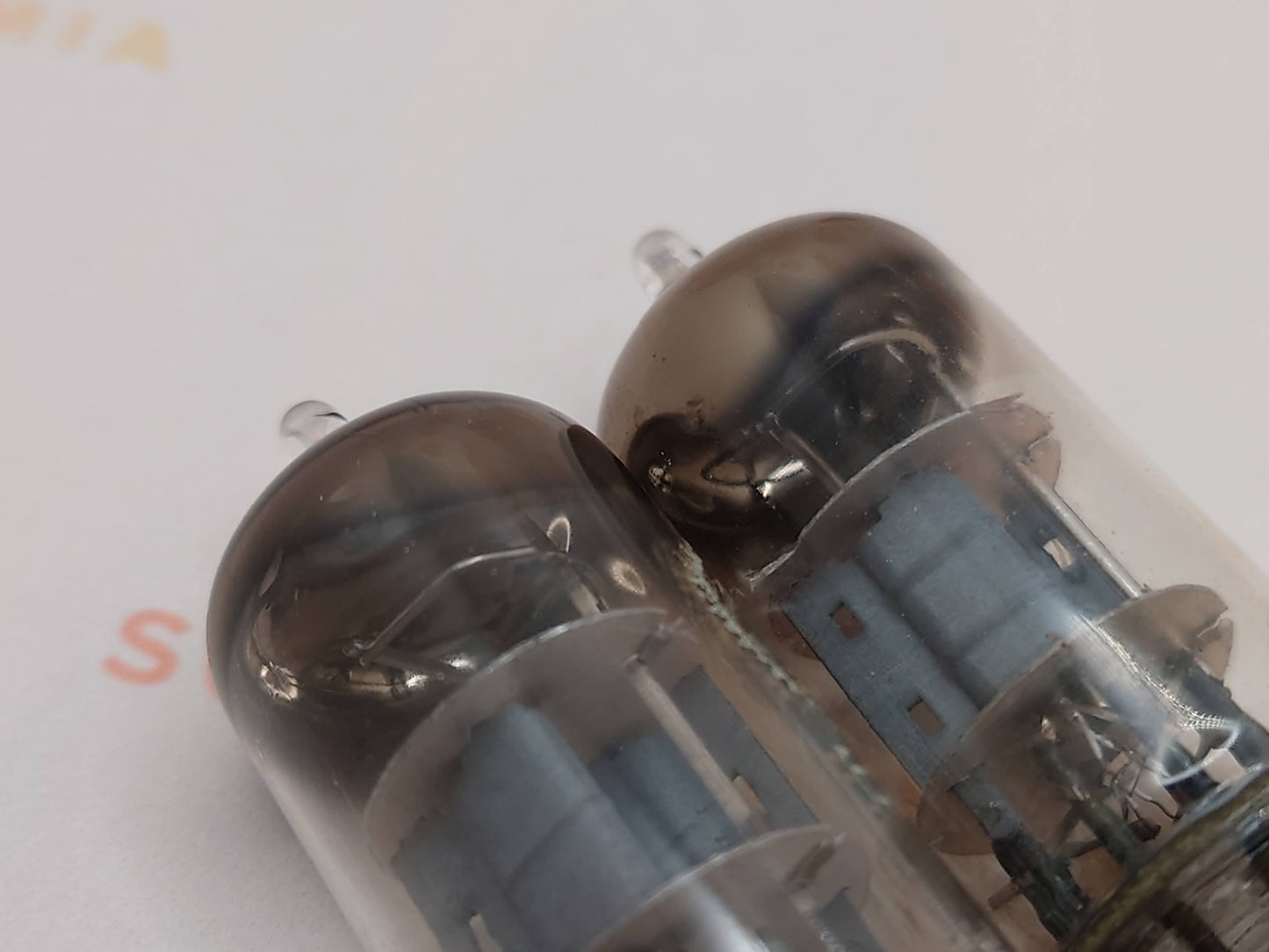 Valvo ECC81 D-Getter Coin Bottom YKB