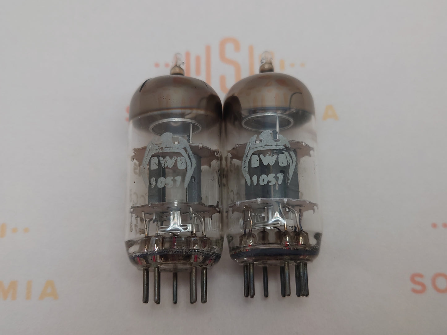 Siemens ECC81 12AT7 O-getter – Munich