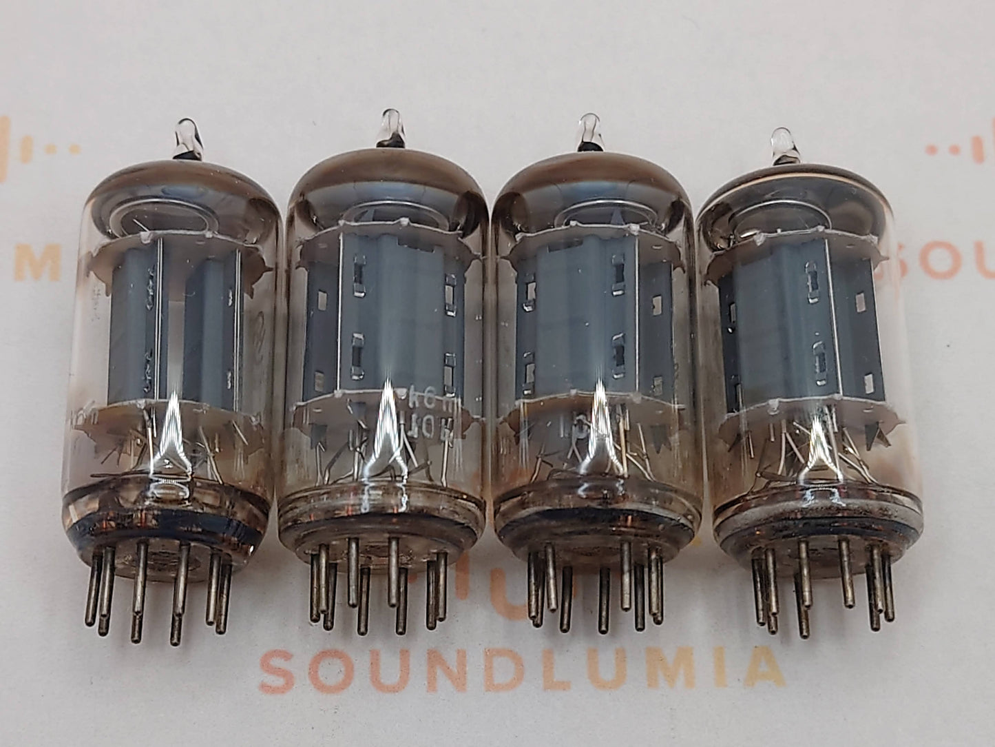Telefunken ECC82 Ribbed Plates ◇ (Siemens Hall 6 Edition)