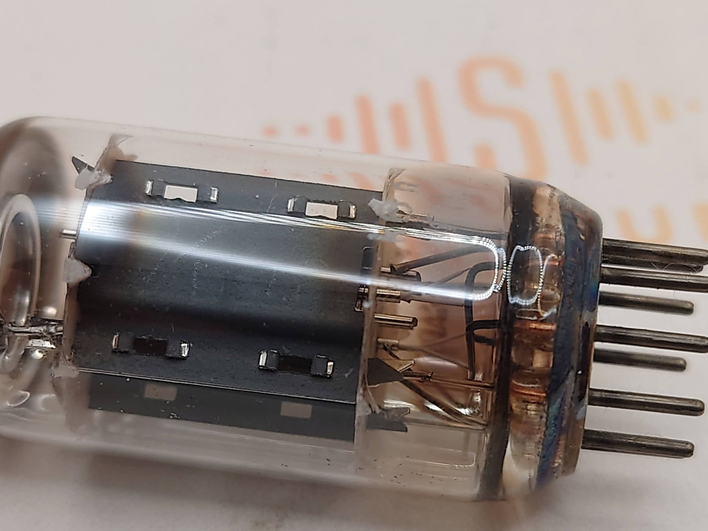 Telefunken ECC82 Ribbed Plates ◇ (Siemens Hall 6 Edition)
