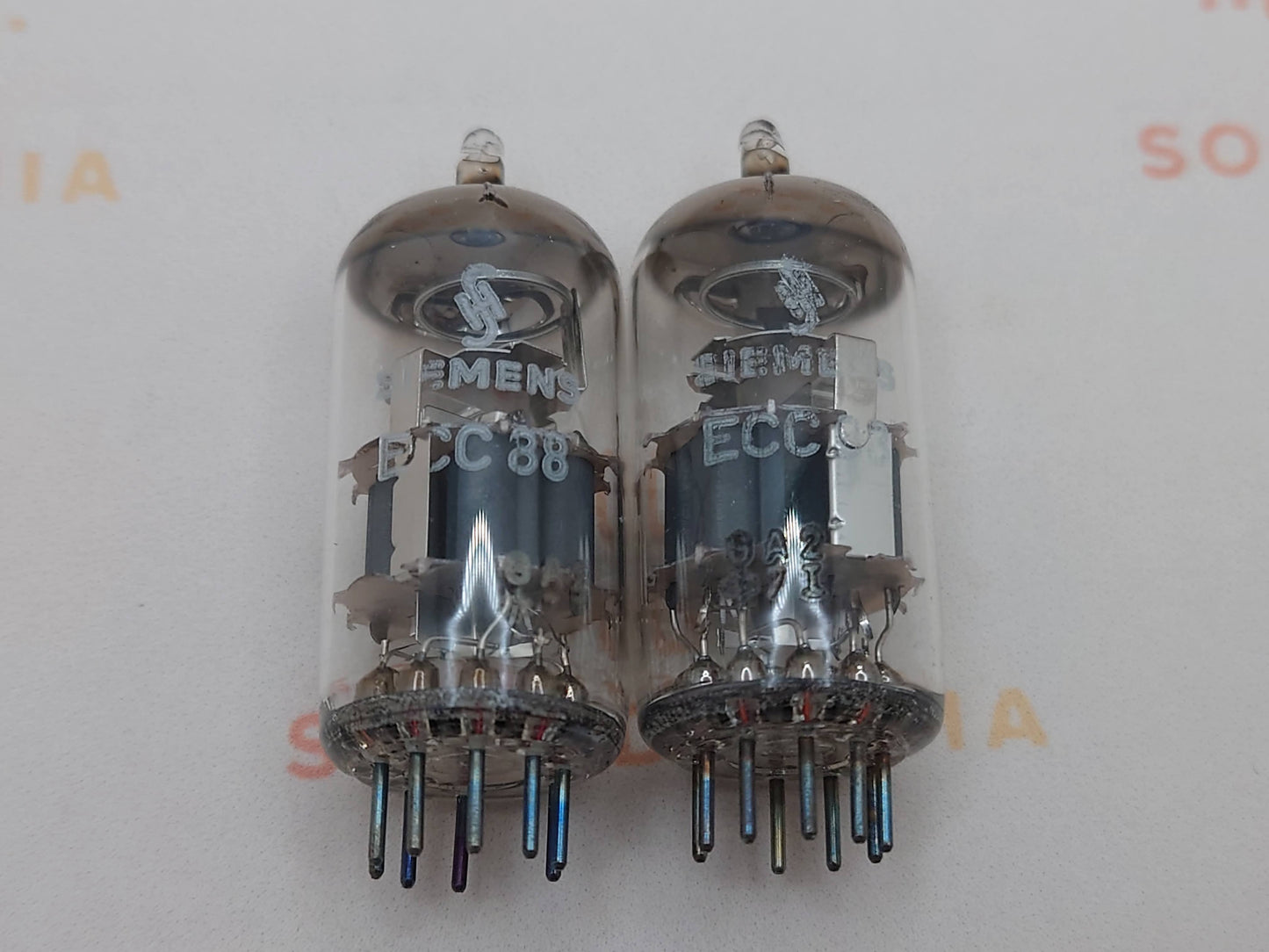 Siemens ECC88 6DJ8 - Munich