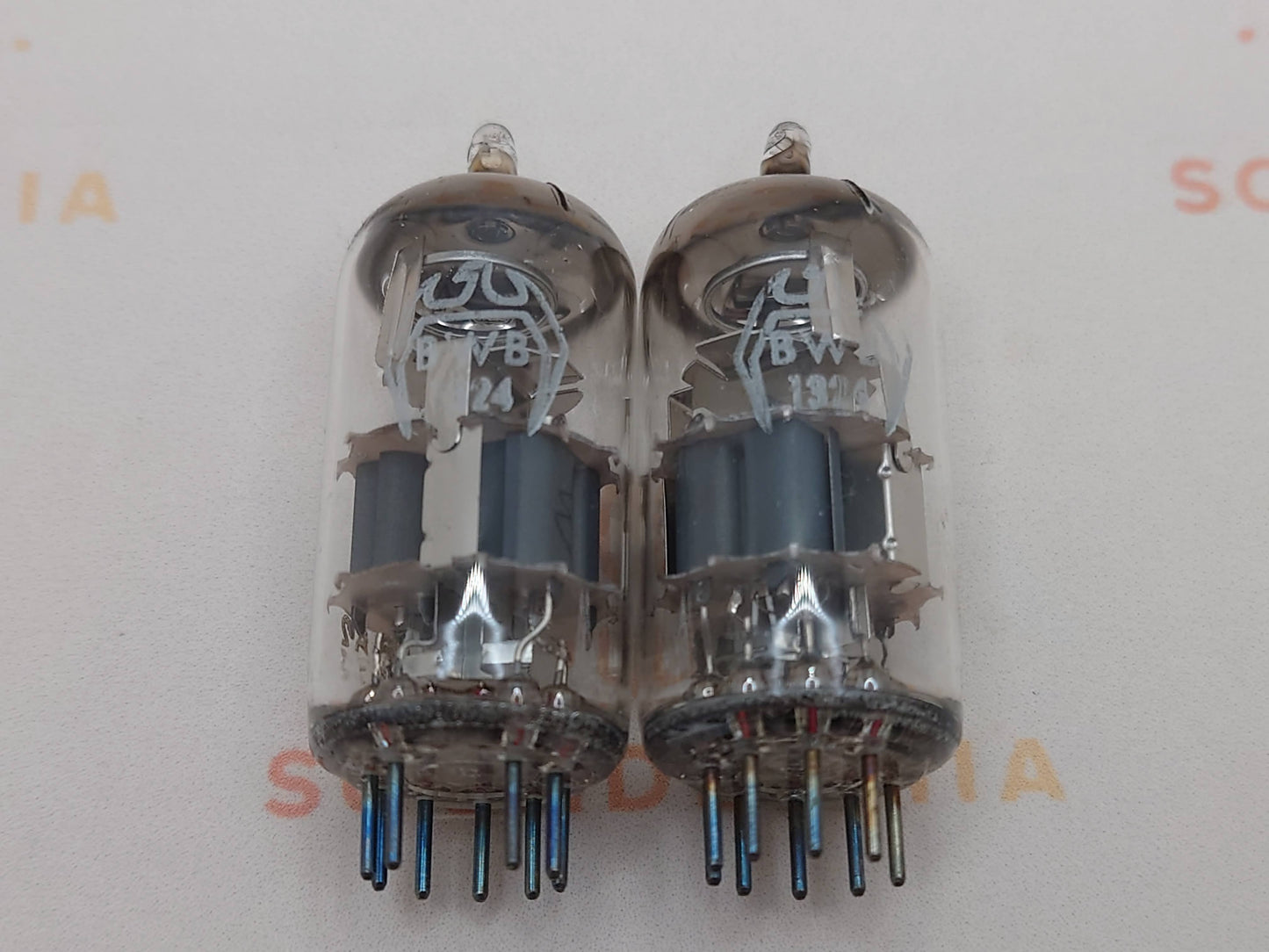 Siemens ECC88 6DJ8 - Munich