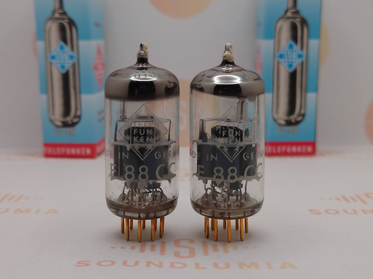 Telefunken E88CC 6922 ◇ Bottom