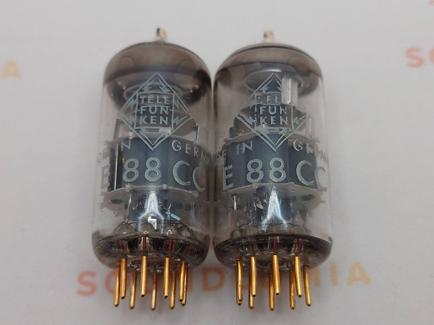 Telefunken E88CC 6922 ◇ Bottom