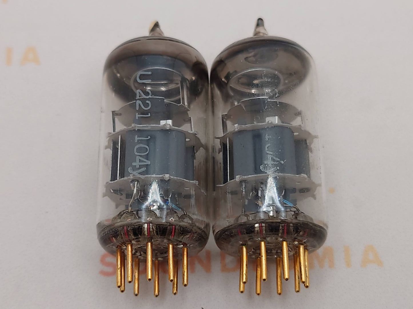 Telefunken E88CC 6922 ◇ Bottom