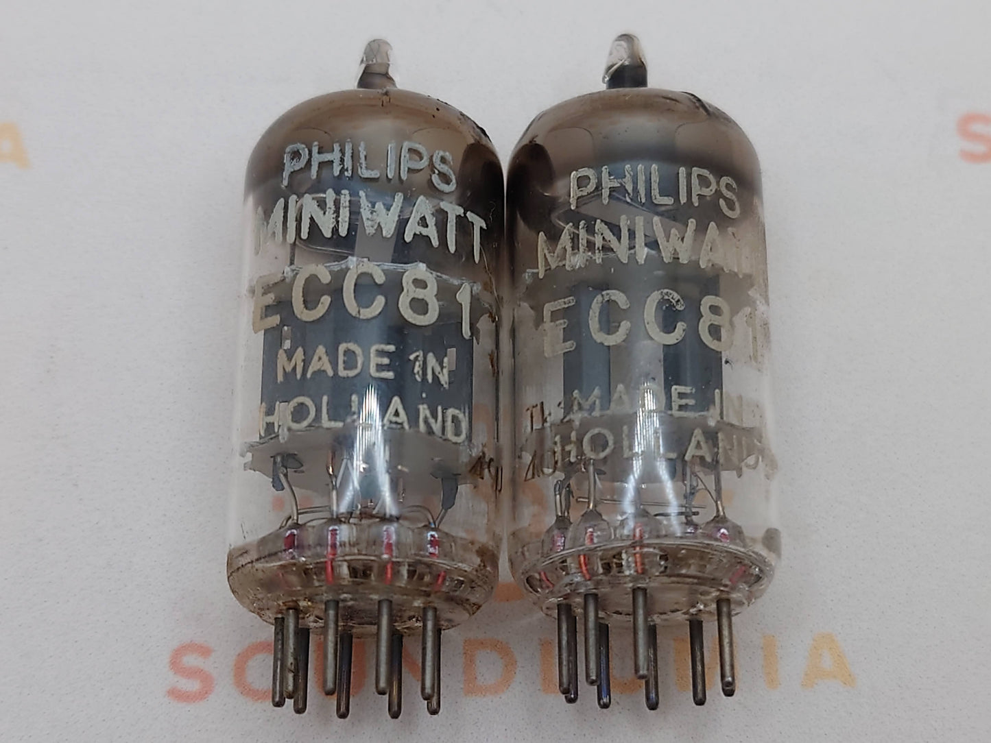 Philips ECC81 12AT7 Folien-D-Getter