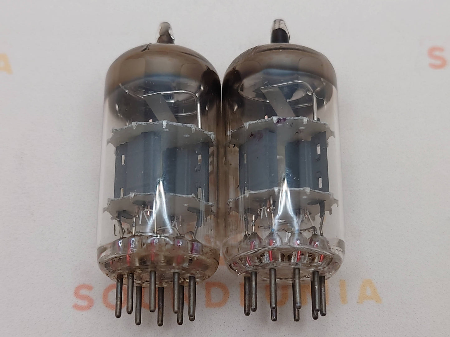 Philips ECC81 12AT7 Folien-D-Getter