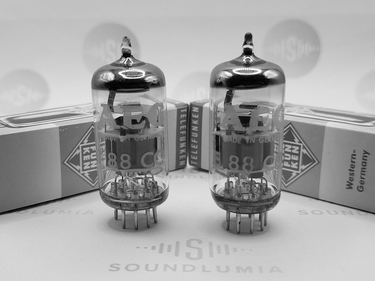 Telefunken E88CC 6922 ◇ Bottom