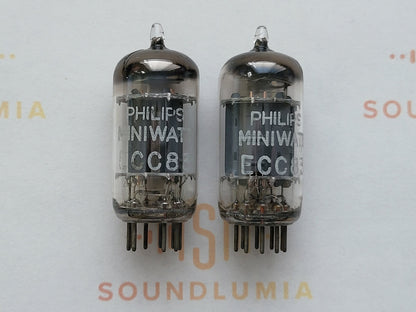 Philips ECC83 12AX7 Lange Platten Folie D Getter mC6