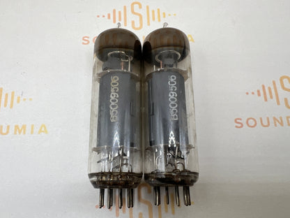Telefunken EL84 6BQ5 ◇ Bottom Berlin