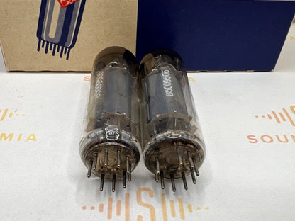 Telefunken EL84 6BQ5 ◇ Bottom Berlin