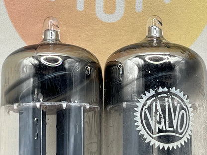 Valvo ECC82 12AU7 Long Plates 30° Hamburg
