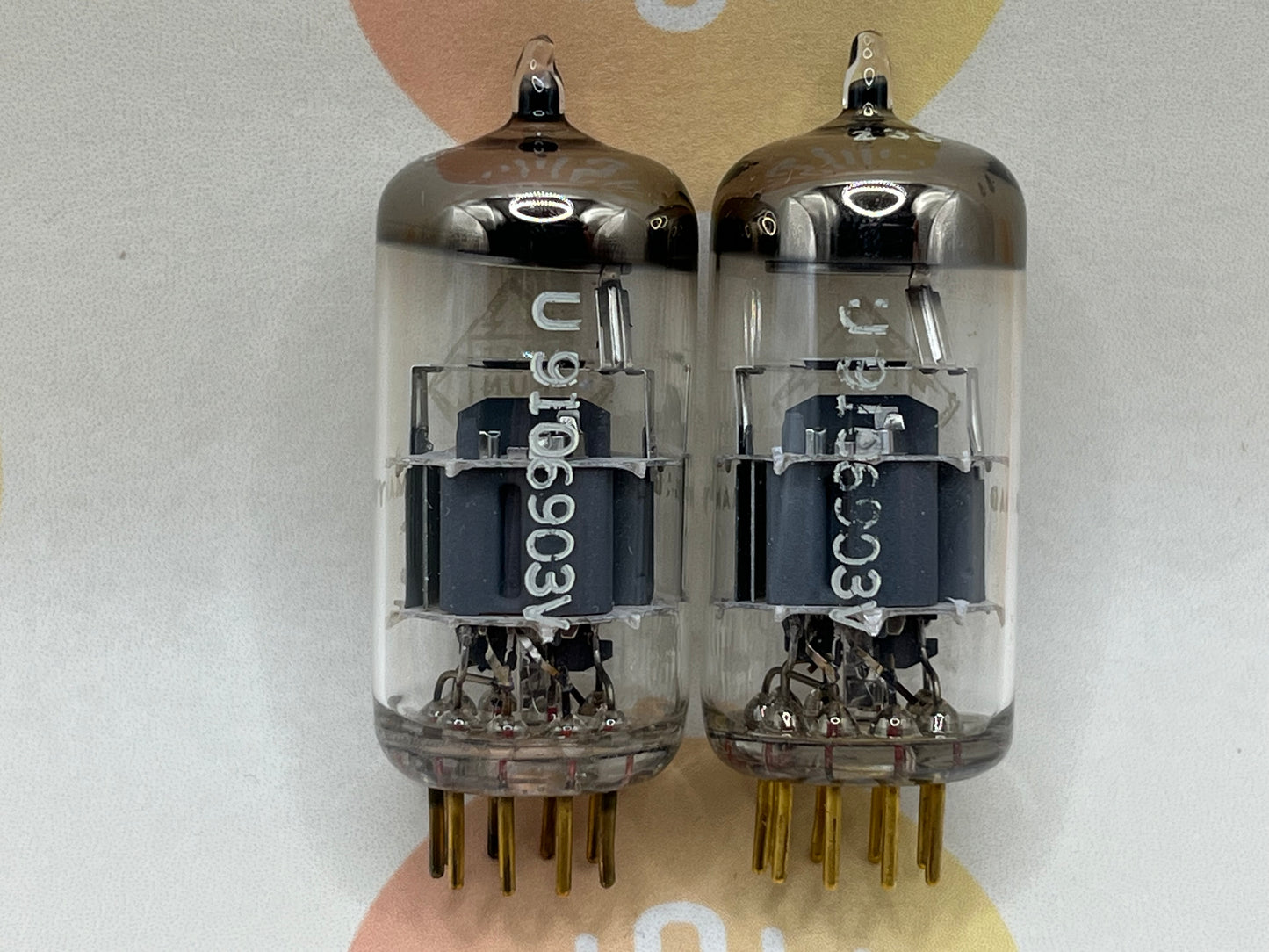 Telefunken E88CC 6922 ◇ Bottom