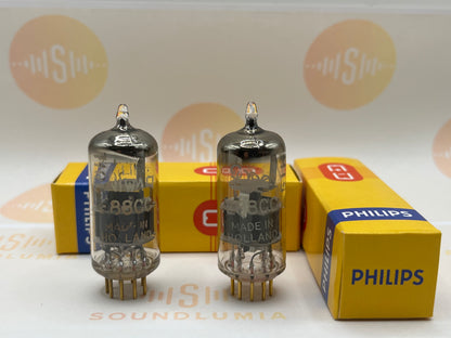 Philips SQ E88CC 6922 D-getter - Holland