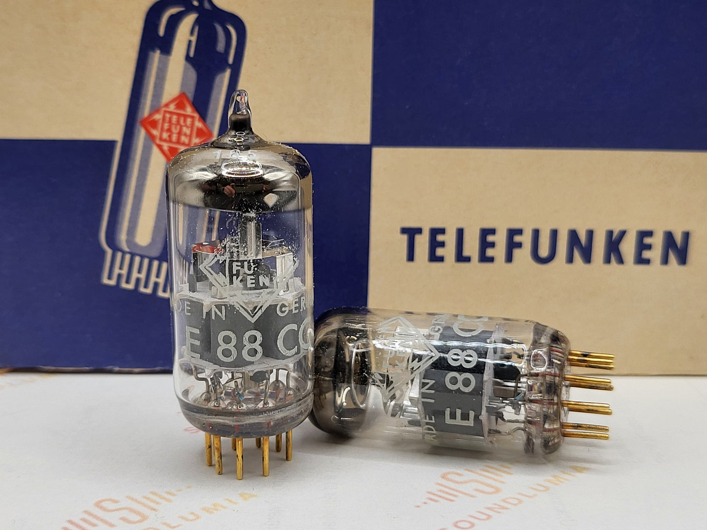 Telefunken E88CC 6922 ◇ Fond