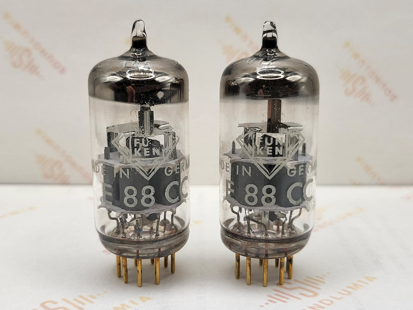 Telefunken E88CC 6922 ◇ Fond