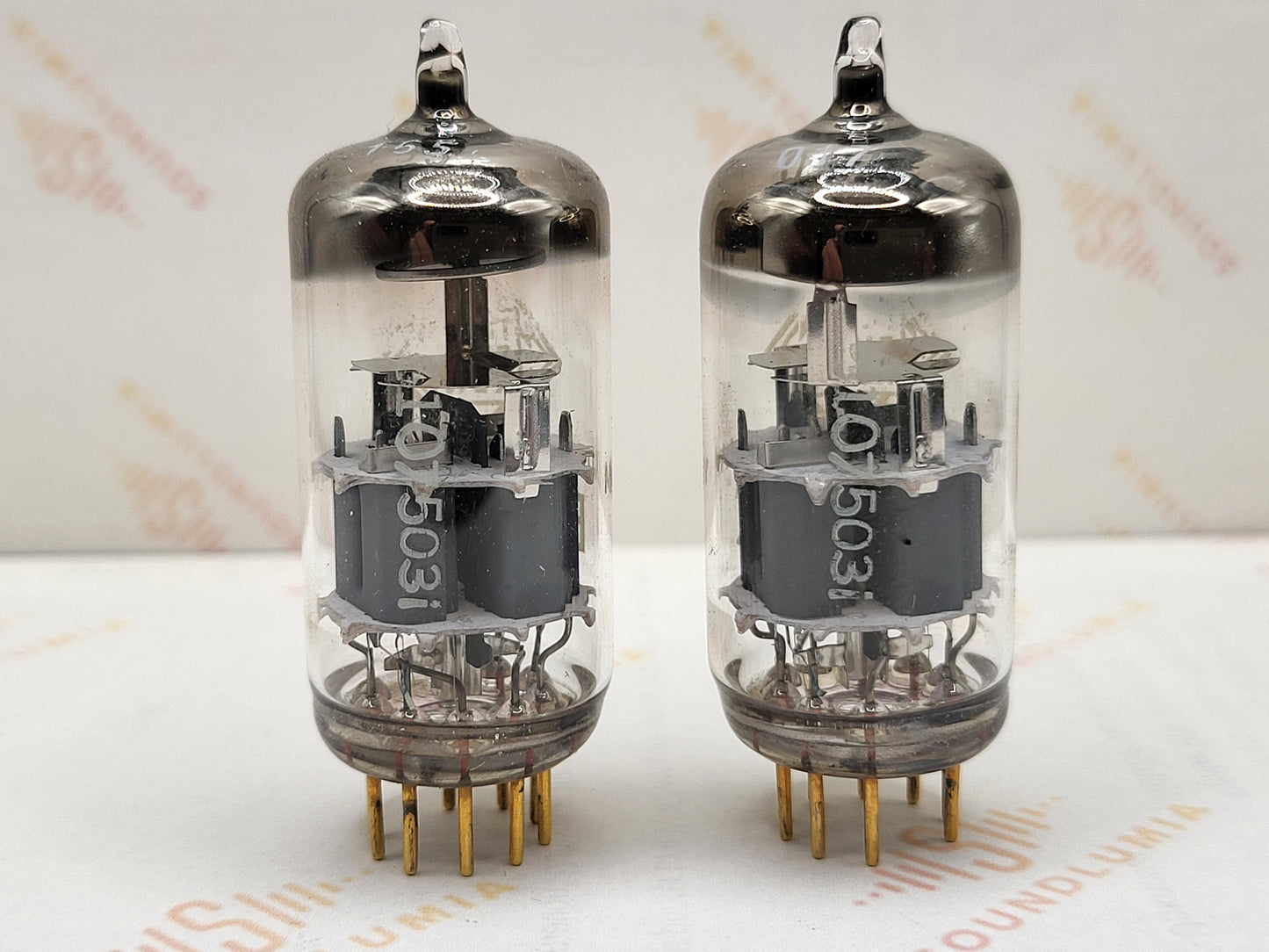 Telefunken E88CC 6922 ◇ Fond