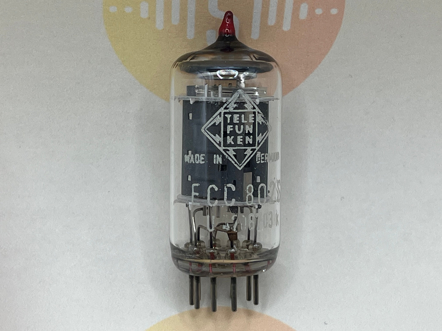 Telefunken ECC802S 6189 ◇ Fond