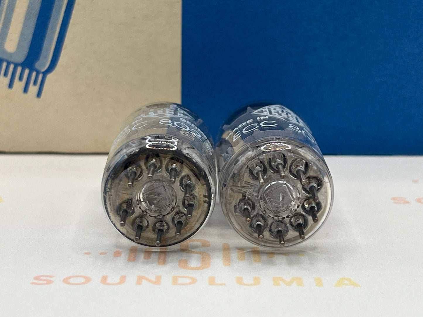 Telefunken ECC802S 6189 ◇ Bottom