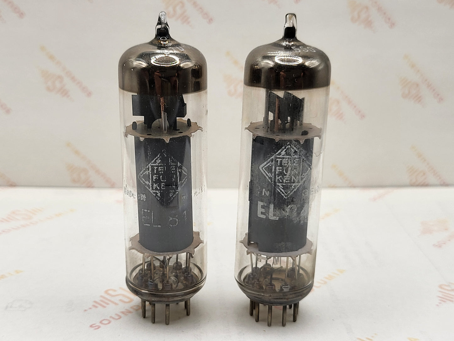 Telefunken EL84 6BQ5 O-getter ◇ Bottom - Germany
