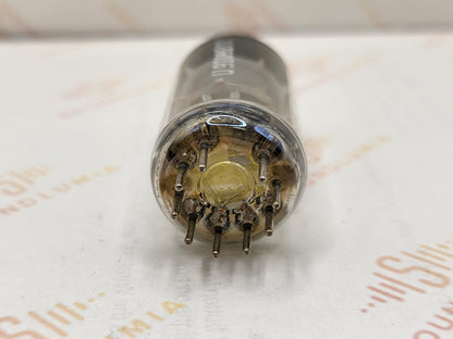 Telefunken EF86 6267 Piastre Argento Getter O ◇ Inferiore
